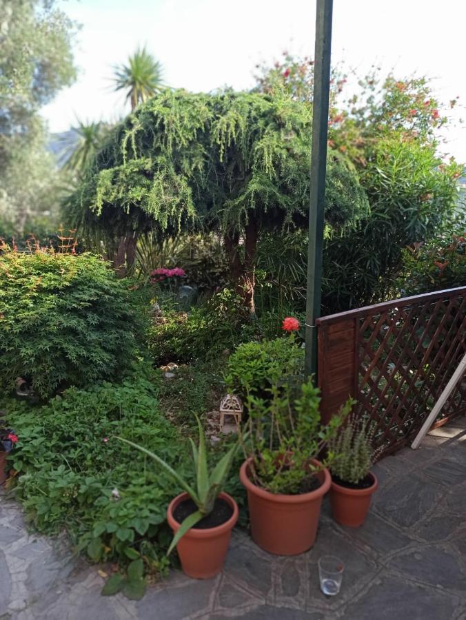 Il Glicine Cozy Appartamnent, Near Sestri Levante Between Cinque Terre E Portofino カザルツァ・リーグレ エクステリア 写真