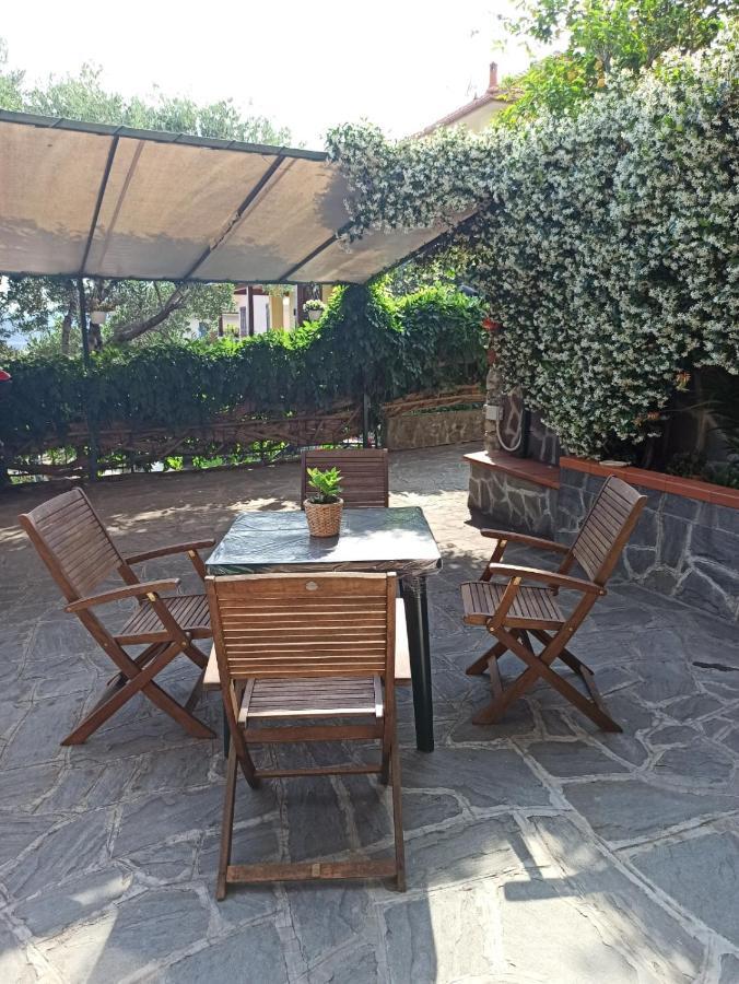 Il Glicine Cozy Appartamnent, Near Sestri Levante Between Cinque Terre E Portofino カザルツァ・リーグレ エクステリア 写真