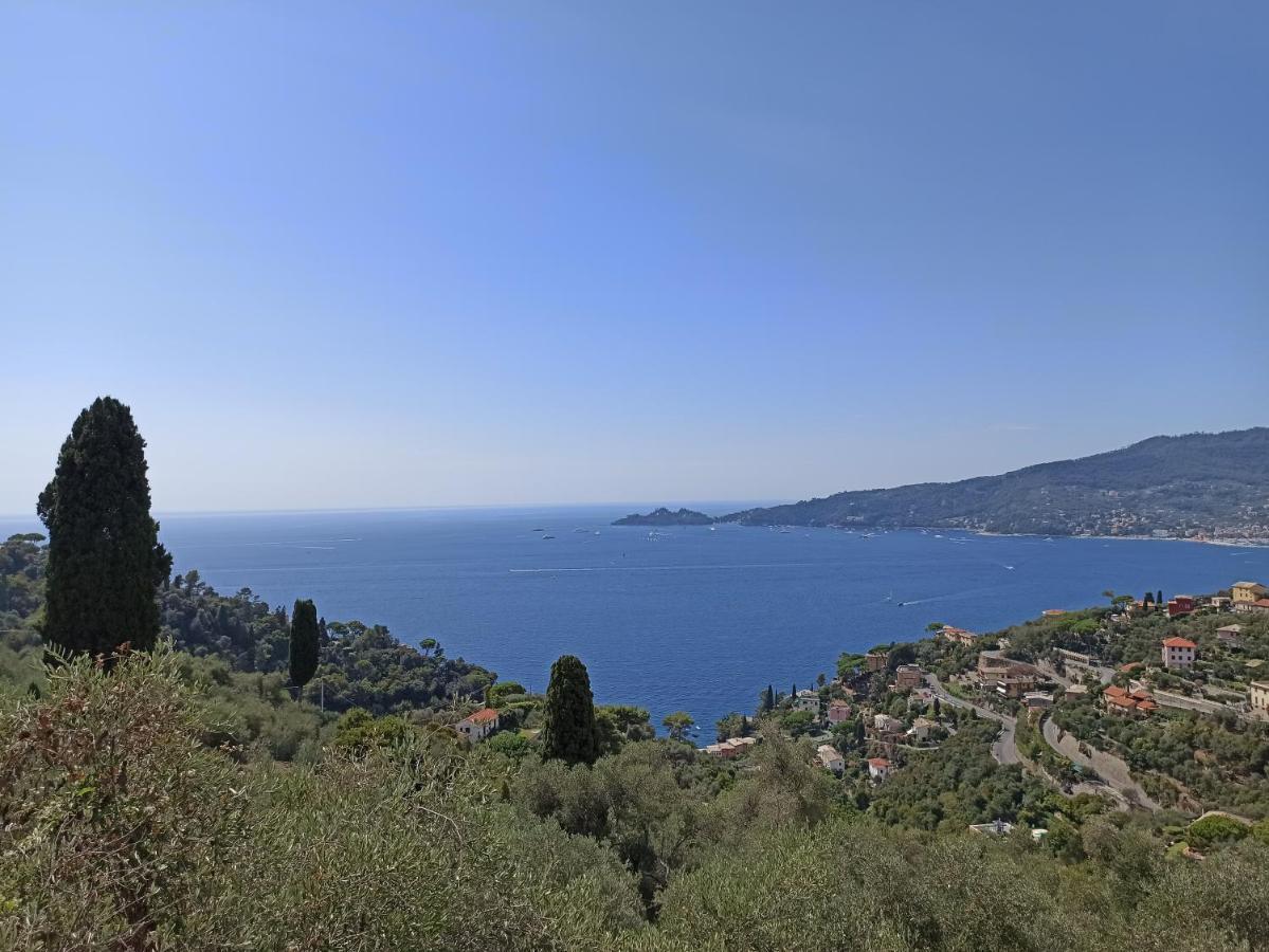 Il Glicine Cozy Appartamnent, Near Sestri Levante Between Cinque Terre E Portofino カザルツァ・リーグレ エクステリア 写真