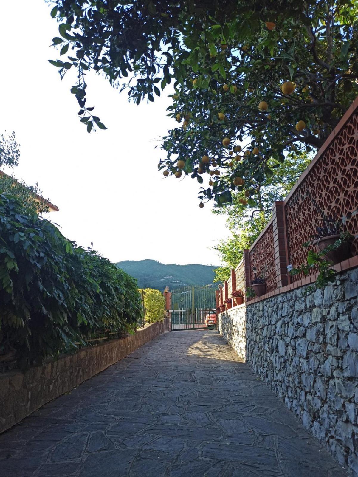 Il Glicine Cozy Appartamnent, Near Sestri Levante Between Cinque Terre E Portofino カザルツァ・リーグレ エクステリア 写真